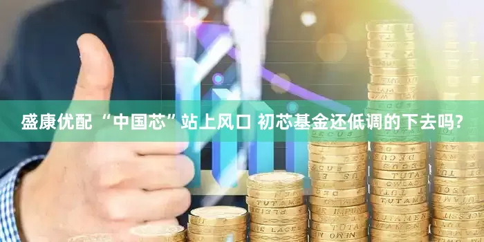 盛康优配 “中国芯”站上风口 初芯基金还低调的下去吗?