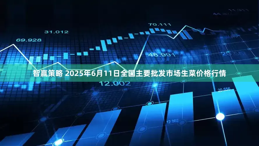 智赢策略 2025年6月11日全国主要批发市场生菜价格行情